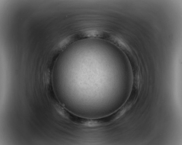 X0000086730413200704201650