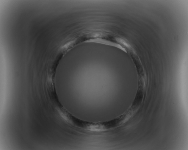 X0000086730415200704201650