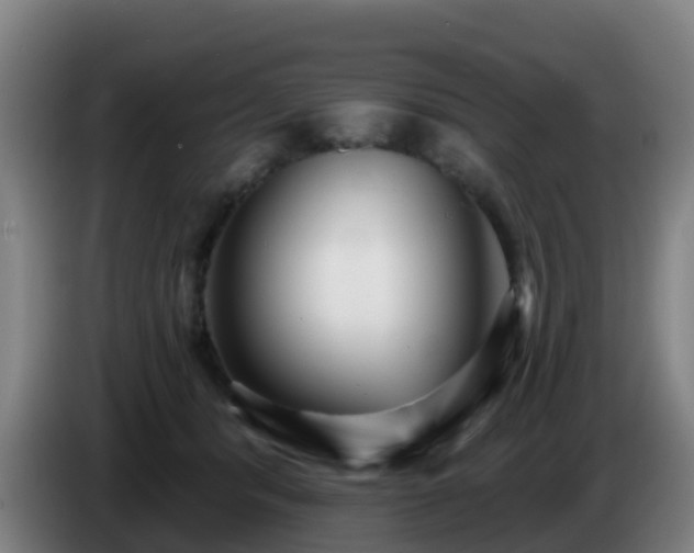 X0000086730416200704201650