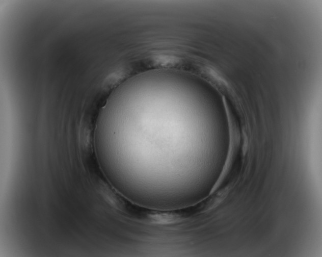 X0000086730417200704201650