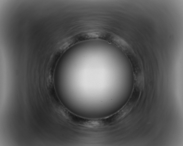 X0000086730418200704201650