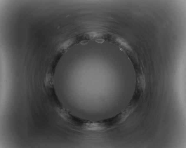 X0000086730419200704201650