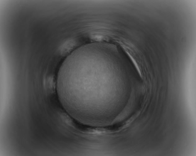 X0000086730420200704201650