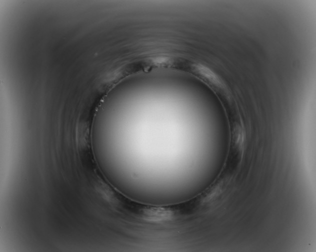 X0000086730421200704201650