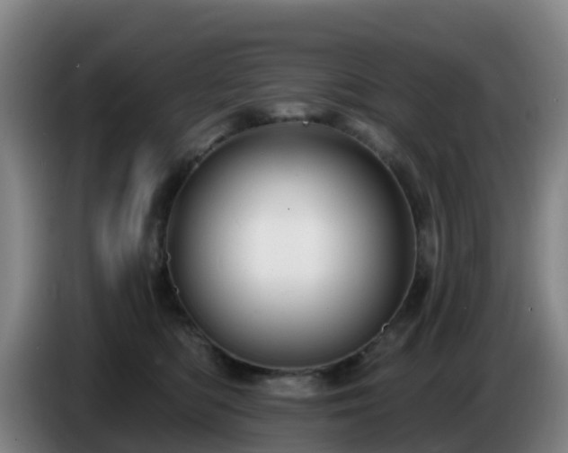 X0000086730422200704201650