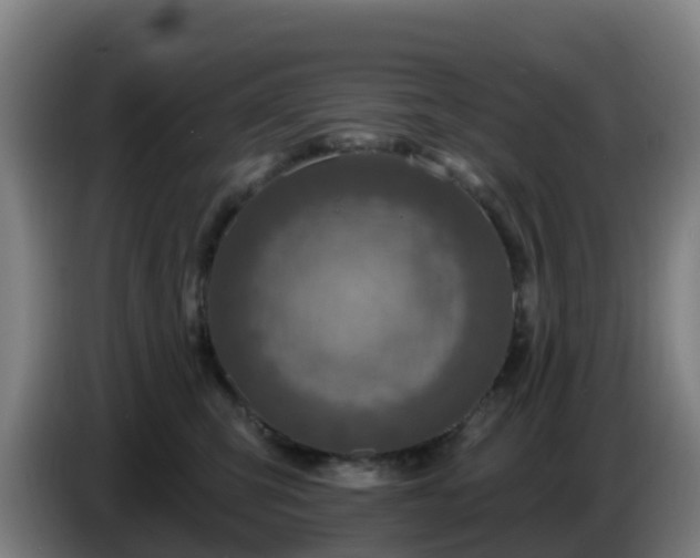 X0000086730423200704201650