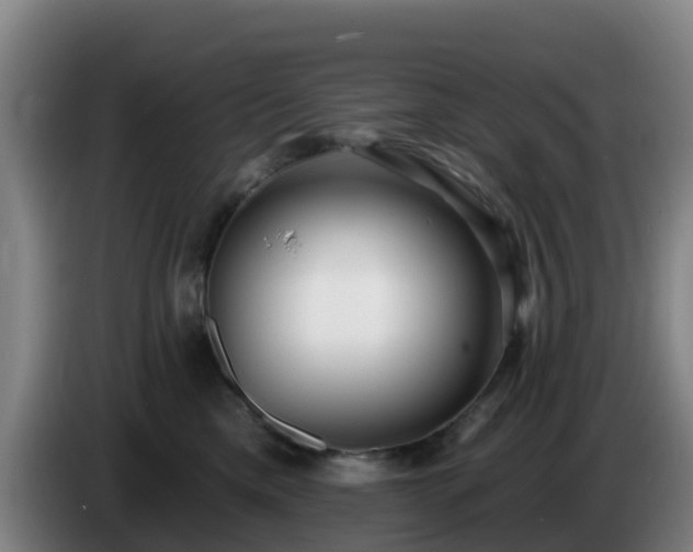 X0000086730425200704201650