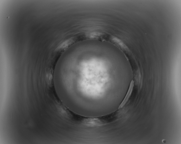 X0000086730427200704201650