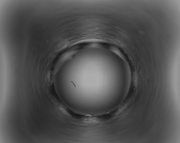 X0000086730428200704201650