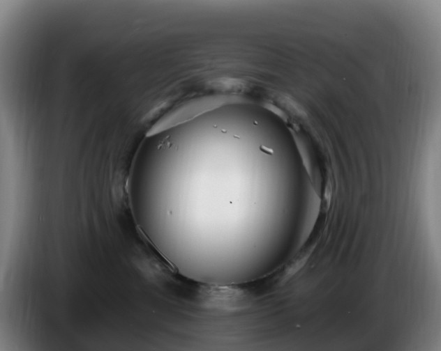 X0000086730429200704201650