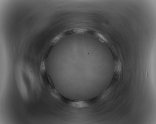 X0000086730431200704201650