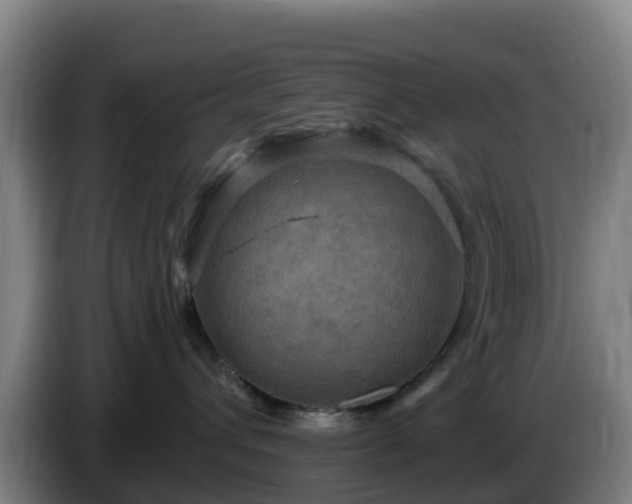 X0000086730432200704201650