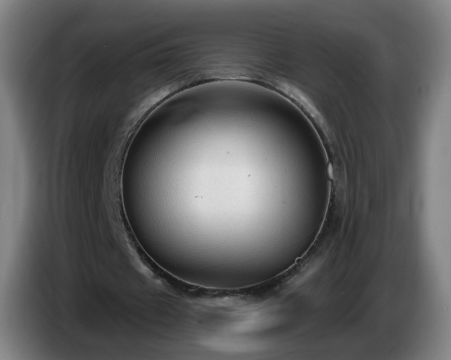 X0000086730433200704201649