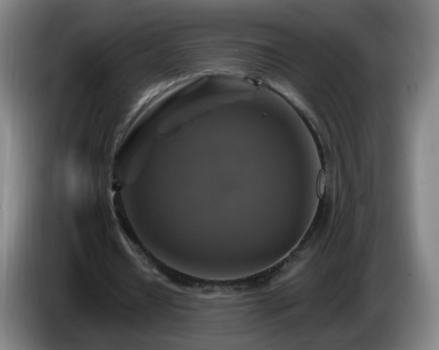 X0000086730434200704201649