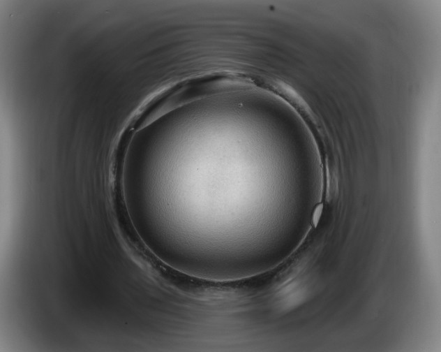 X0000086730435200704201649