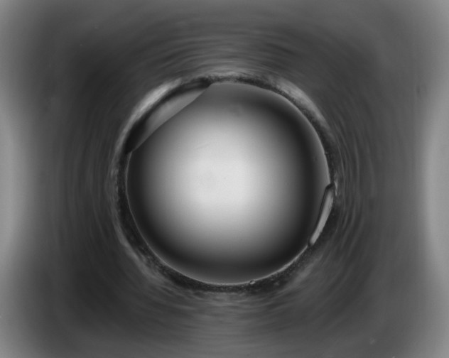 X0000086730436200704201649