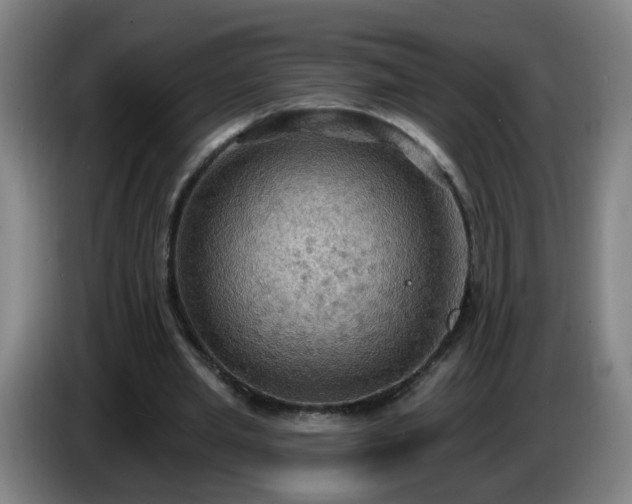 X0000086730437200704201649