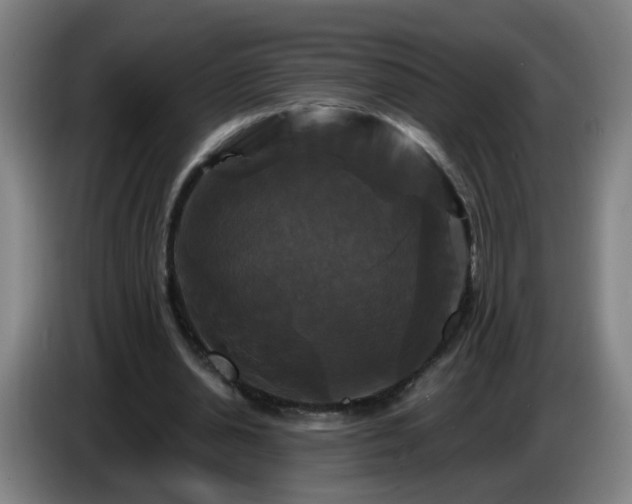 X0000086730438200704201649