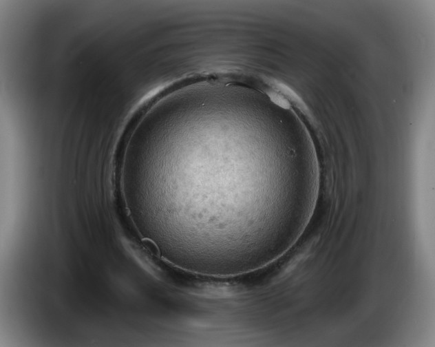 X0000086730439200704201649