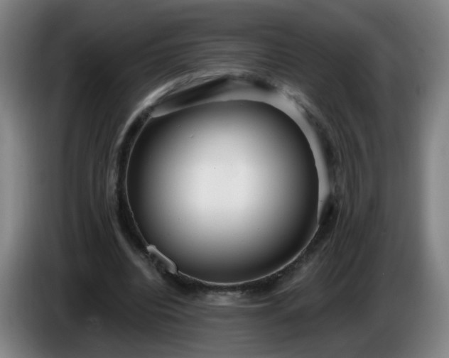 X0000086730440200704201649