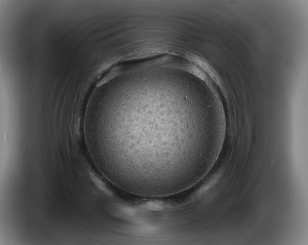 X0000086730441200704201649