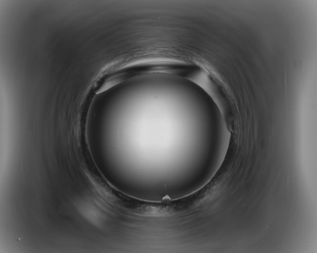 X0000086730442200704201649