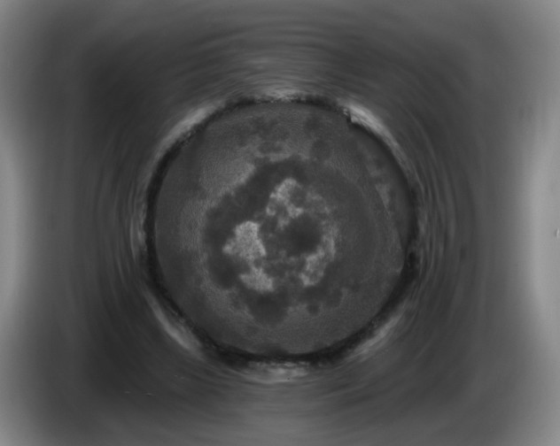 X0000086730443200704201649