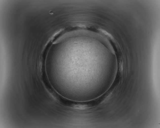 X0000086730444200704201649