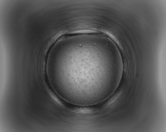 X0000086730445200704201649