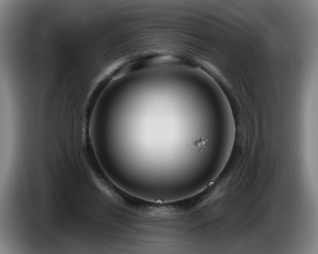 X0000086730446200704201649