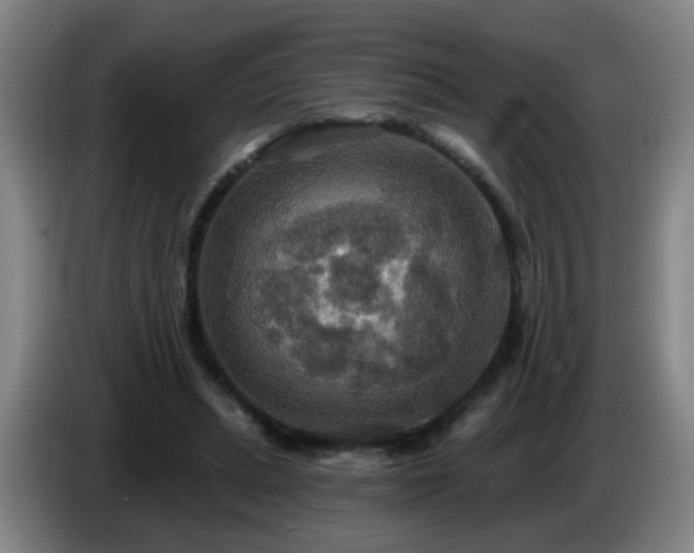 X0000086730447200704201649