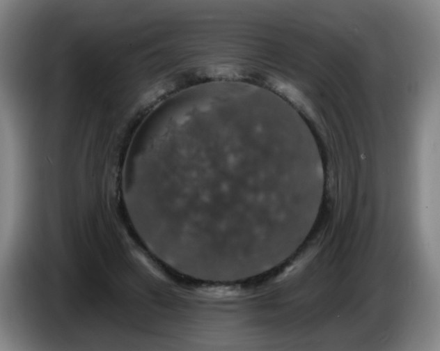 X0000086730449200704201649