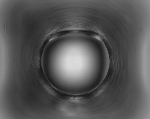 X0000086730450200704201649