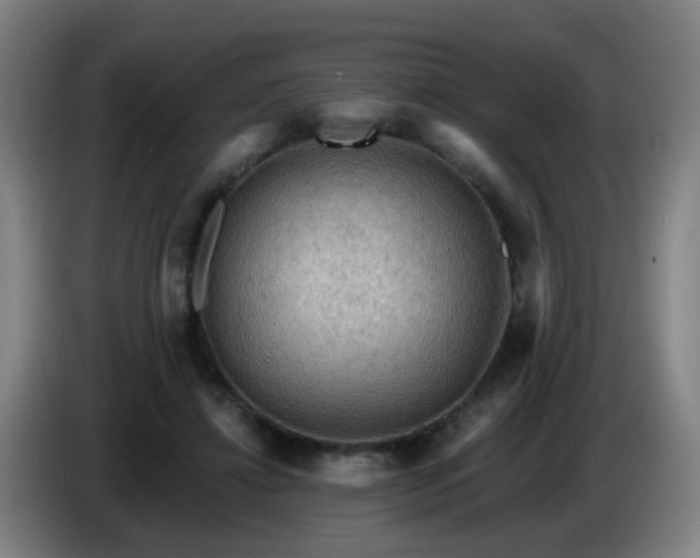 X0000086730452200704201649