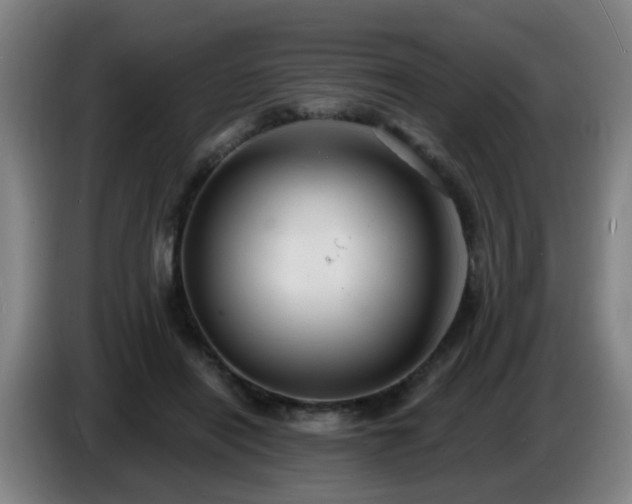 X0000086730454200704201649