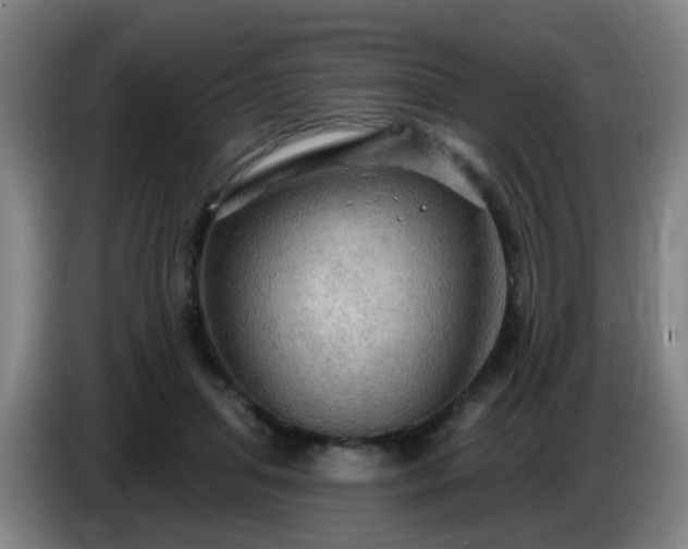 X0000086730455200704201649