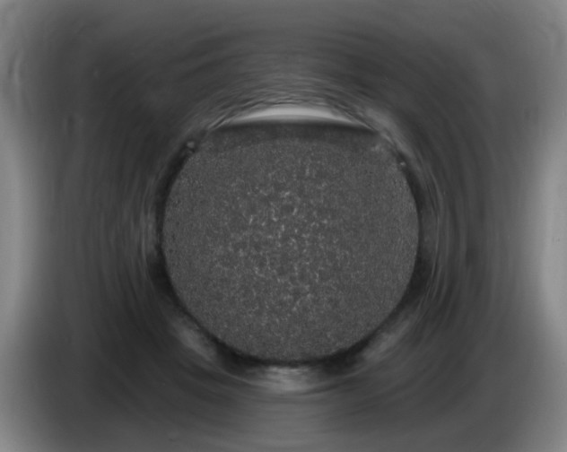 X0000086730457200704201649