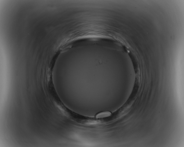 X0000086730458200704201649