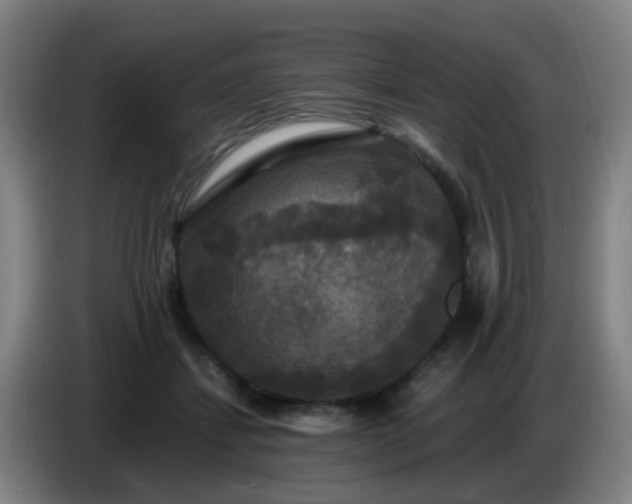 X0000086730459200704201649