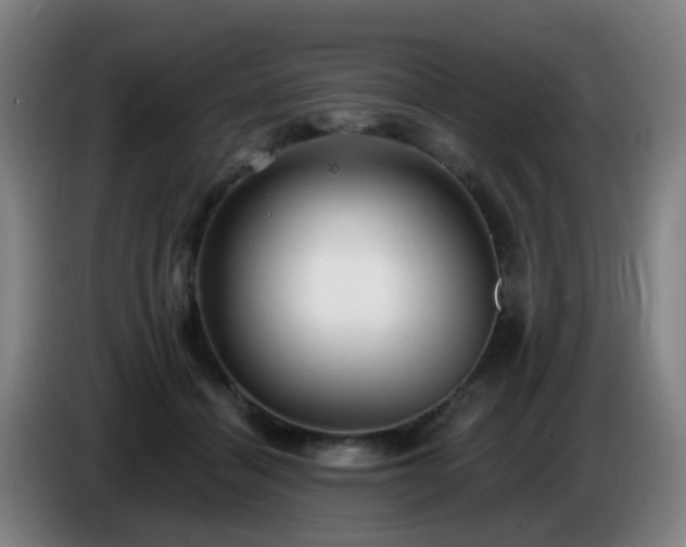 X0000086730460200704201649