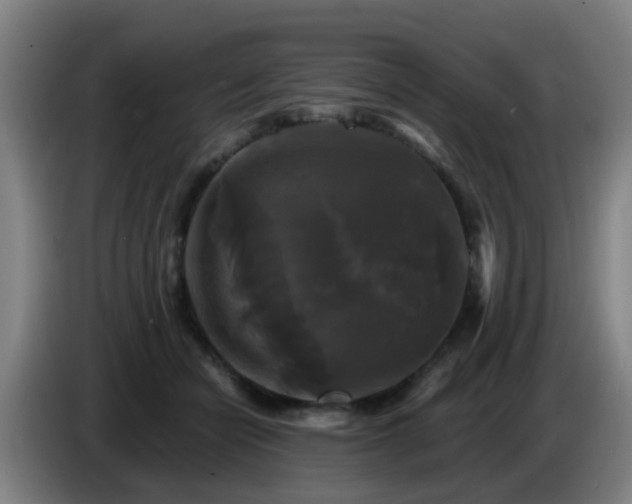 X0000086730462200704201649