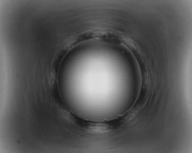 X0000086730463200704201649