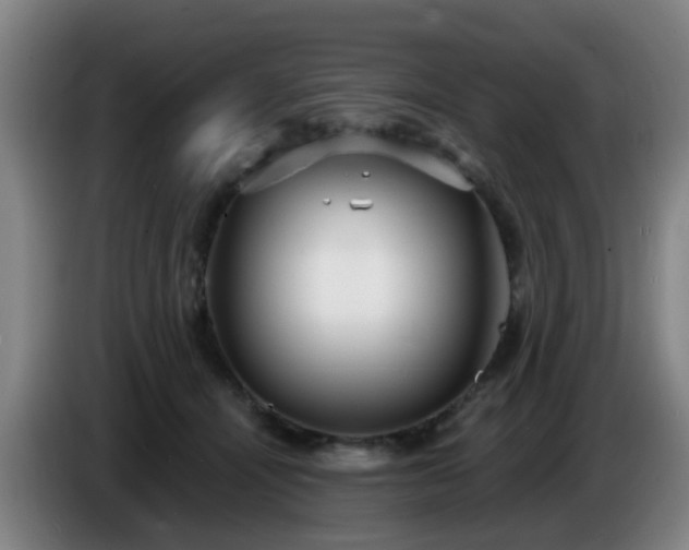 X0000086730464200704201649