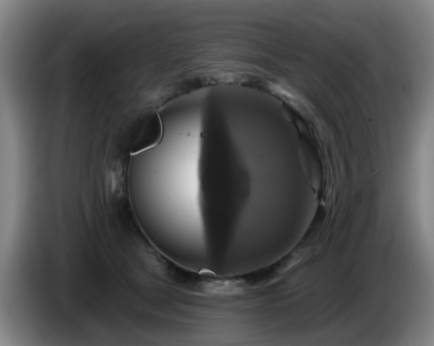 X0000086730465200704201649