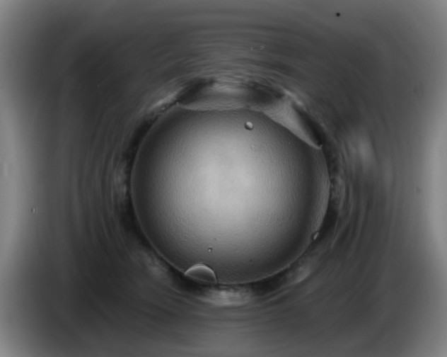 X0000086730466200704201649