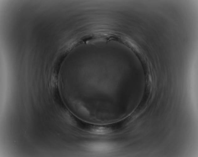 X0000086730467200704201649