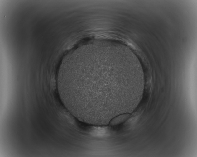 X0000086730469200704201649