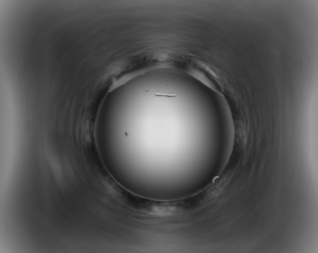 X0000086730470200704201649