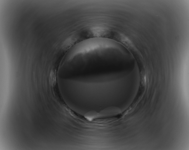 X0000086730471200704201650