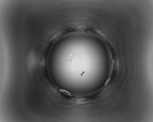 X0000086730472200704201650